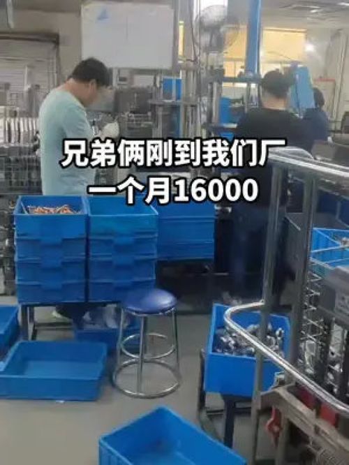 手足同心筑夢廠區(qū)，兄弟合力點(diǎn)亮人生